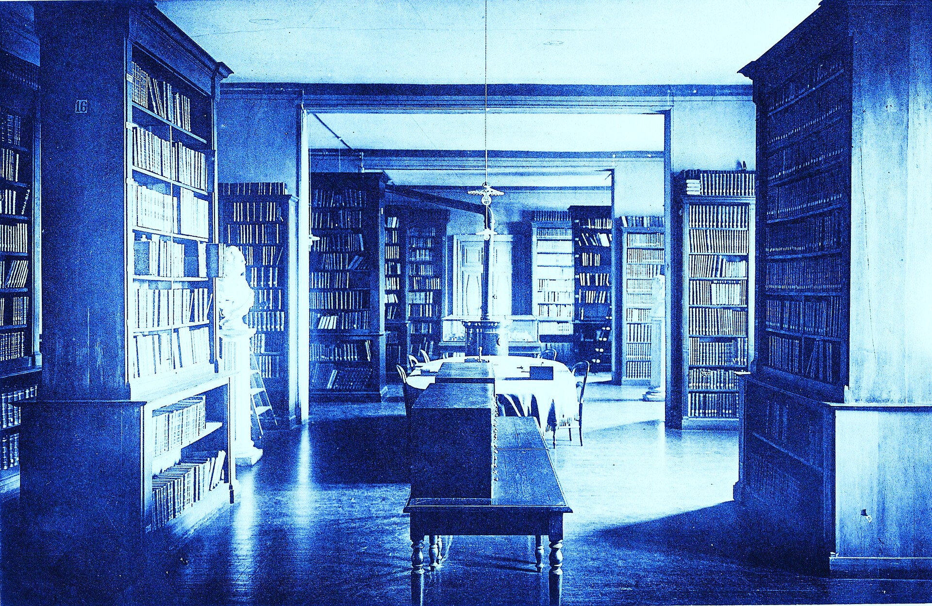 Drewniane regały z książkami w bibliotece, bez czytelników.
